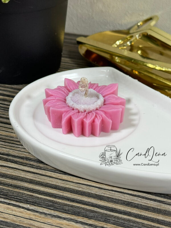 świeca sojowa kwiatek stokrotka