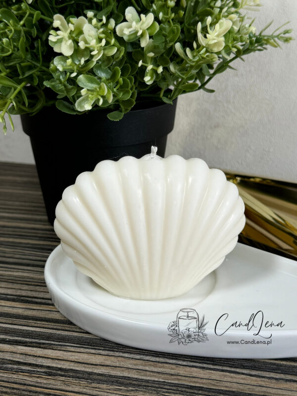 świeca sojowa muszla